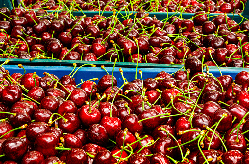 Its geographical indication is registered as “Akşehir Cherry”. It is durable, large and dark in color. Türkiye, Konya, Akşehir