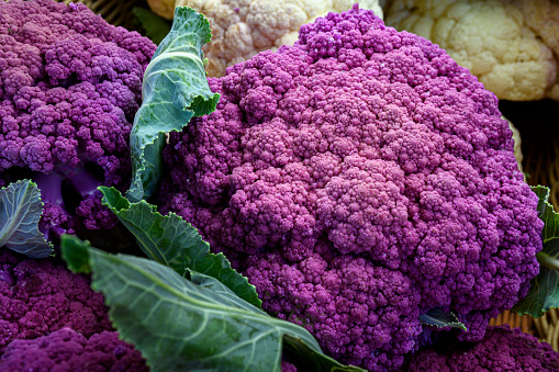 Close-up of organic purple cauliflower for sale at outdoor farmer's market.