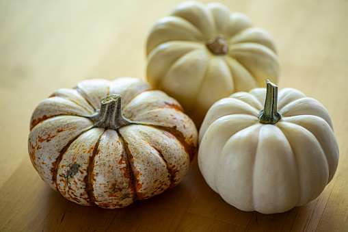 This is a close up photo of three white pumpkins on a wood table background. There is space for copy. This is a nice high key image that would work well for autumn, Thanksgiving and a holiday Halloween season in the fall.