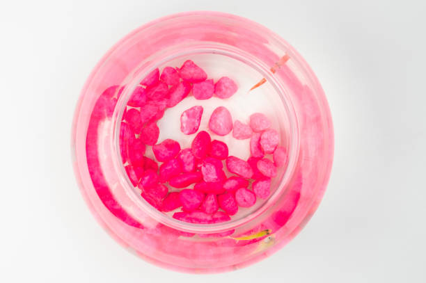 Round aquarium ball with two fishes and pink rocks above top view isolated on white background
