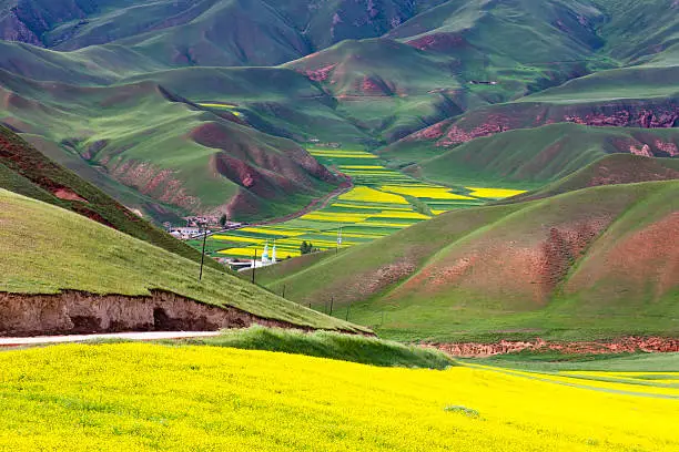 Photo of beautiful red mountain and yellow rape field