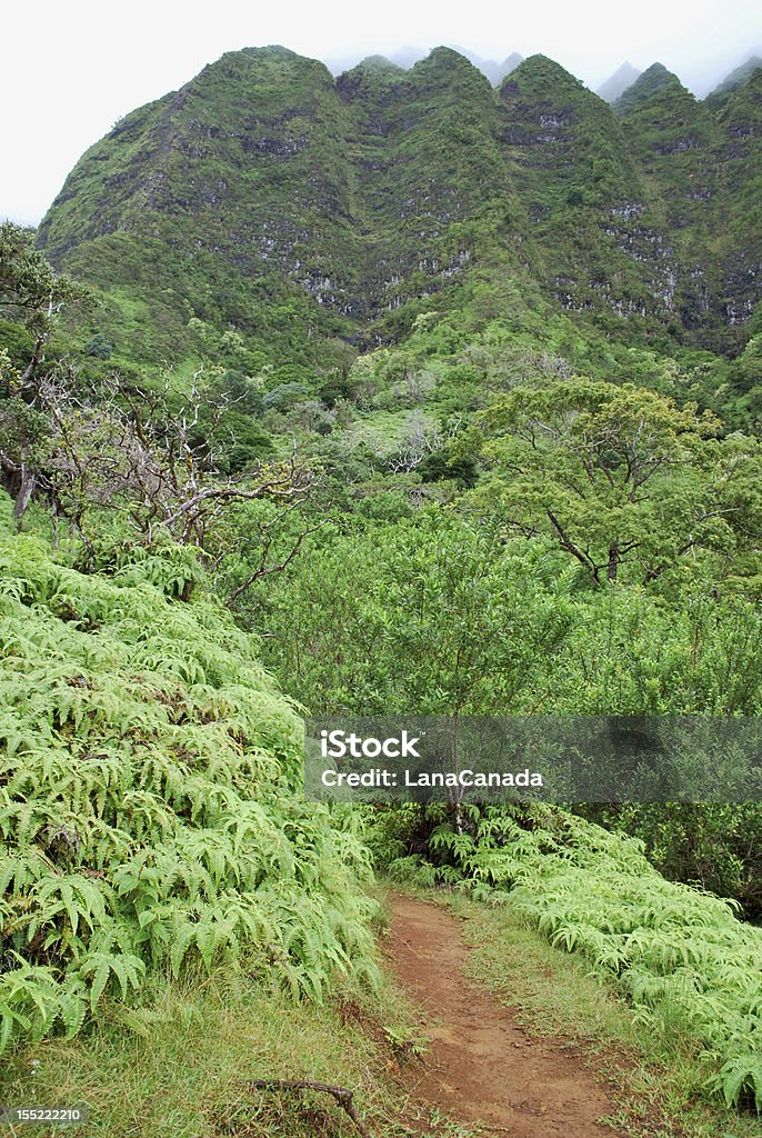 Senda de excursionismo en Hawai - Foto de stock de Aire libre libre de derechos
