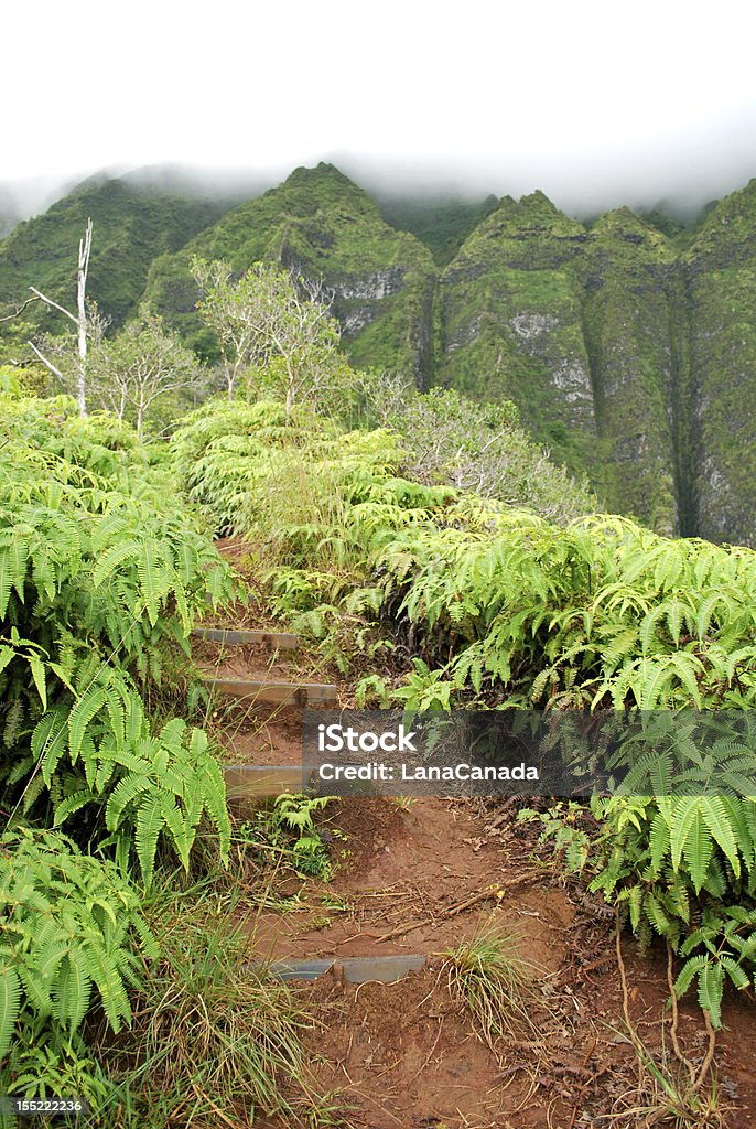 Hiking Trail в Оаху, Гавайи - Стоковые фото Kualoa роялти-фри