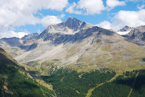 альпы в vinschgau - sulden стоковые фото и изображения