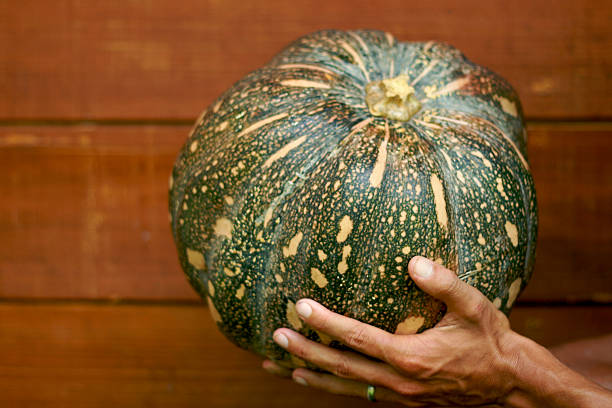 Man chef holding pumpkin stock photo