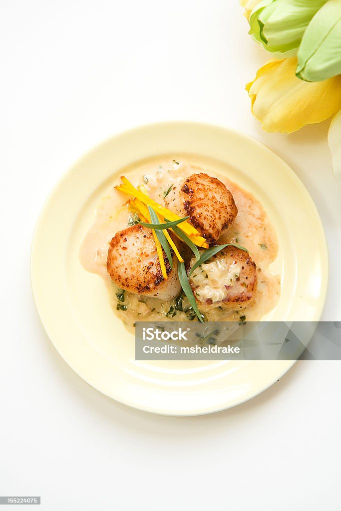 Scallops in tarragon  cream sauce Scallops in tarragon cream sauce accompanied by shoestring beets and tarragon leaf Scallop Stock Photo