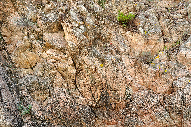 Close-up of rocky cliffs with bushes in a sunny day at the Monfrague National Park. A remarkable place with a beautiful ridge and noted for its bird-life in western Spain.