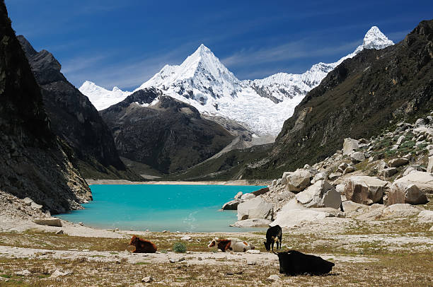 perù, cordigliera bianca - huaraz foto e immagini stock