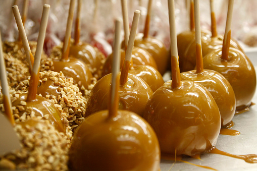 Freshly made caramel apples on a tray.