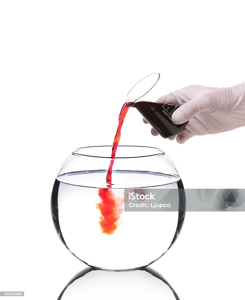 과학자 주둥이 레드 액체형 홈우드 스위트 - 로열티 프리 건강 검진 스톡 사진