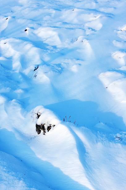 istock winter season on snowy 155224860