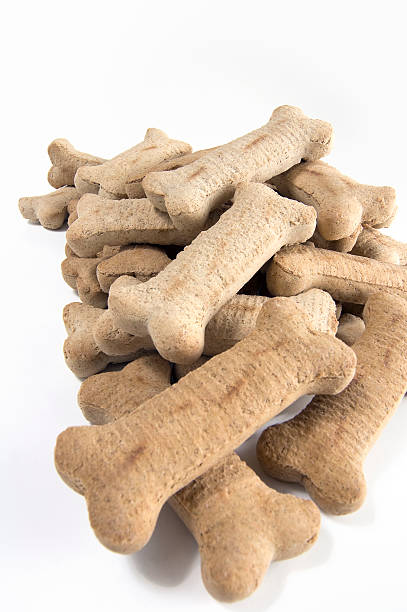istock Pile of Dog Biscuits 155225004
