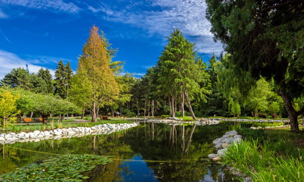 istock Fragment of  Minoru Park After Renovation 1552256159