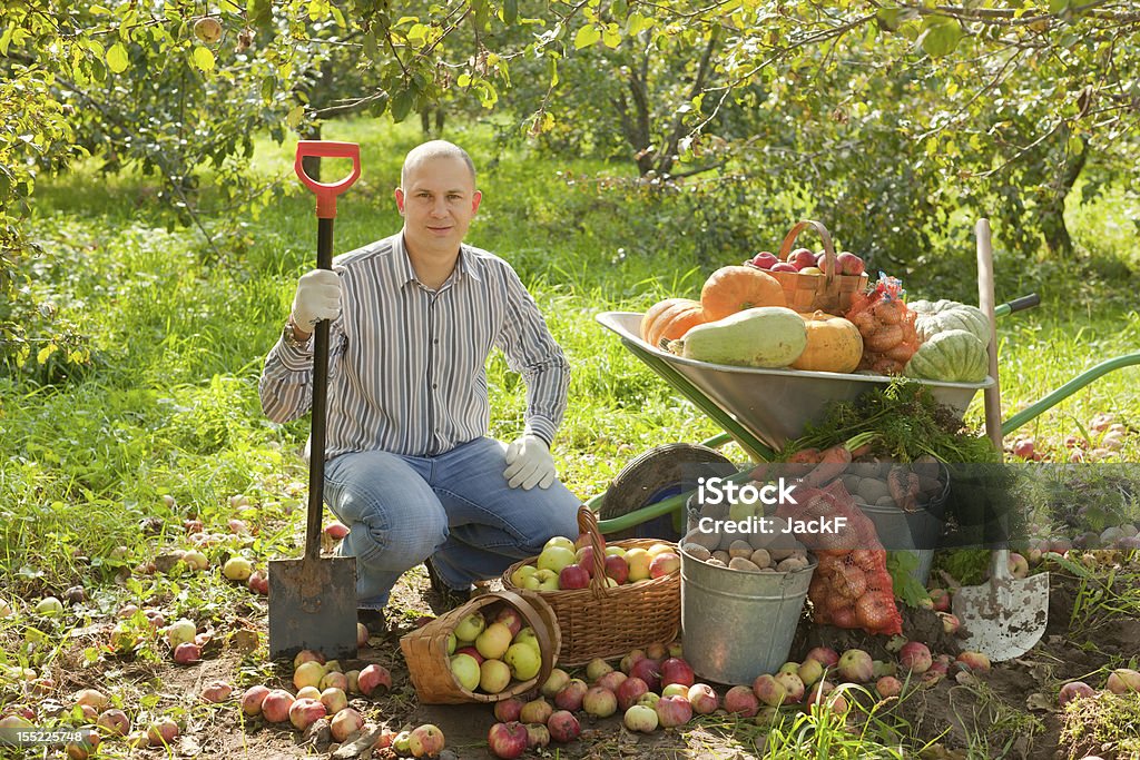 man with vegetables harvest Happy man with vegetables harvest in garden 30-34 Years Stock Photo