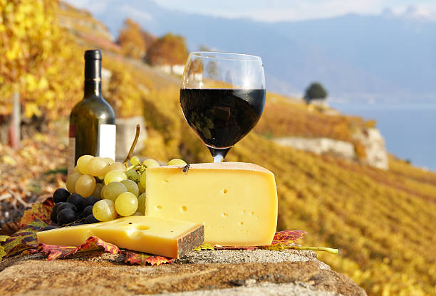 Red wine, cheese and grapes Red wine, cheese and grapes on the terrace of vineyard in Lavaux region, Switzerland   montreux photos stock pictures, royalty-free photos & images