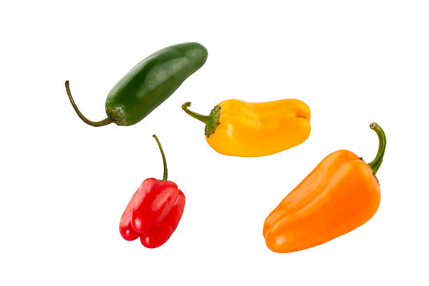 Four Colorful Peppers stock photo