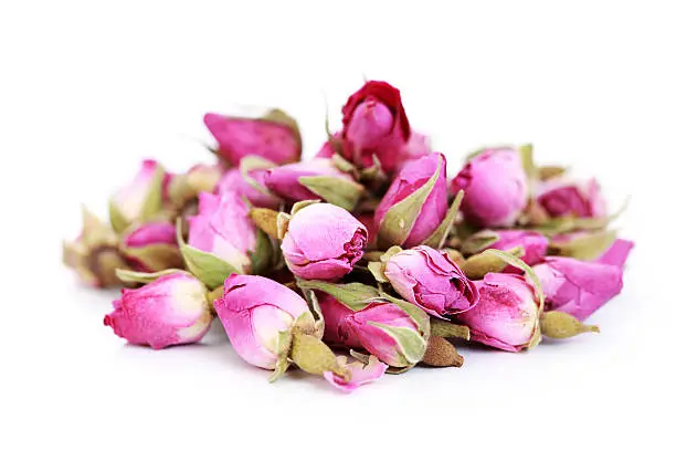 dried pink roses on white background - flowers