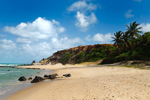 istock Beautiful beach with palm trees at Praia do Amor Brazil 155227047