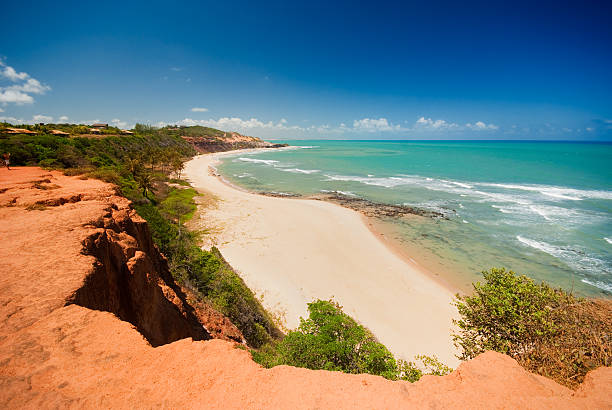 bela praia com palmeiras na praia do amor, brasil - pipa - fotografias e filmes do acervo