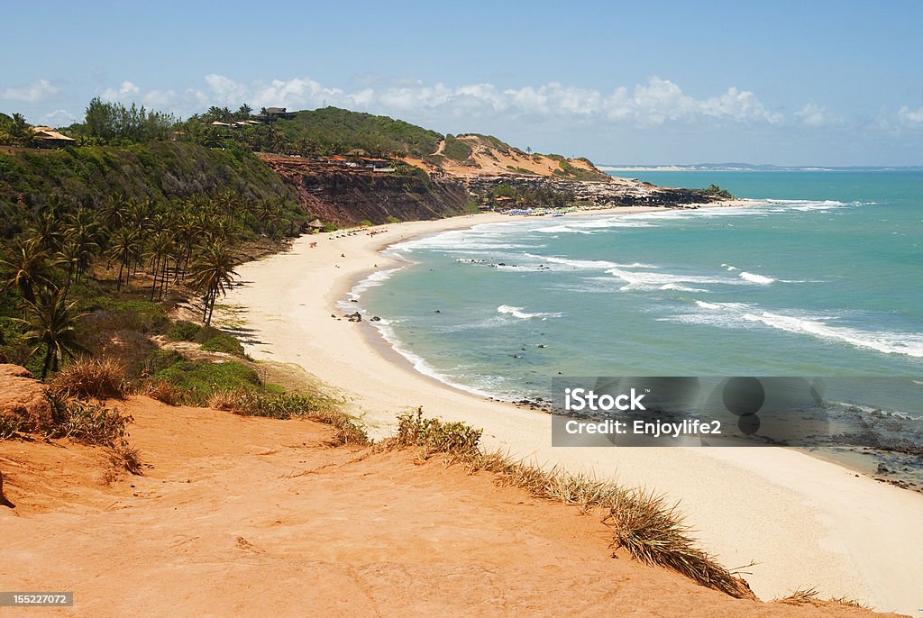 Oceanfront in Praia do Amor Brazil Beautiful beach with palm trees at Praia do Amor near Pipa Brazil Pipa Stock Photo