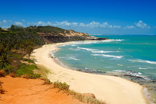 istock Beautiful beach with palm trees at Praia do Amor Brazil 155227075