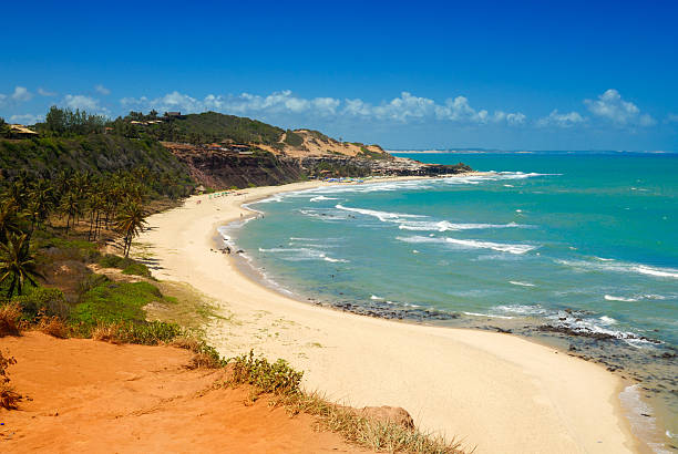 красивый пляж с пальмами на praia do амор бразилия - rio grande стоковые фото и изображения