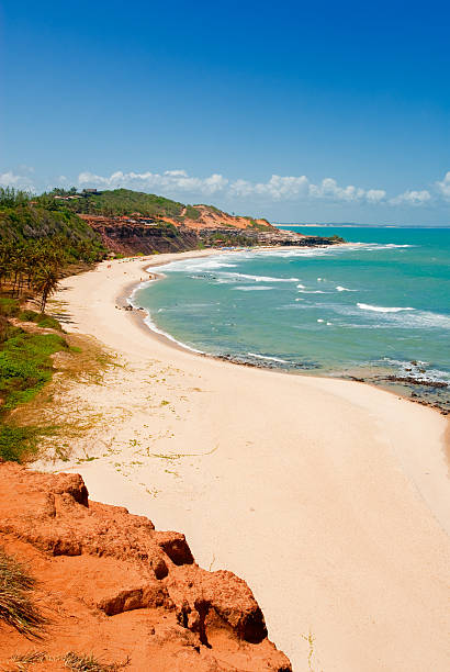 istock Beautiful beach with palm trees at Praia do Amor Brazil 155227113