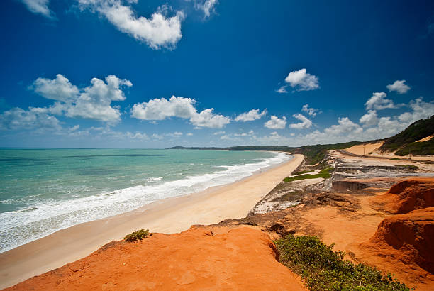 istock Ponta do Madeiro near Pipa Brazil 155227115