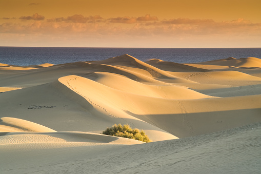Sand dunes at sunset with sea and sky in the background