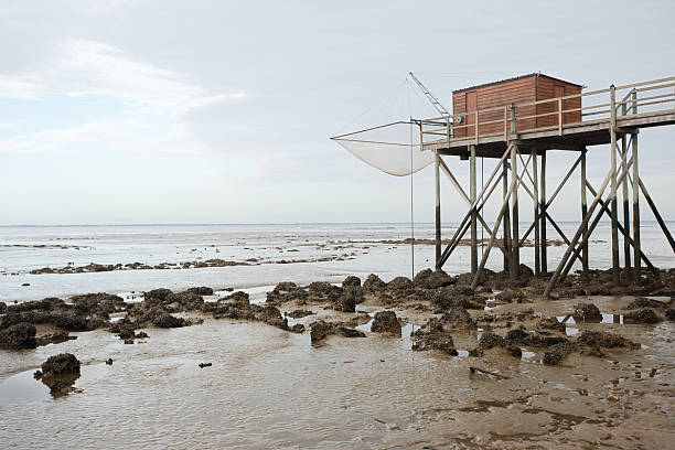 Hut at low tide stock photo