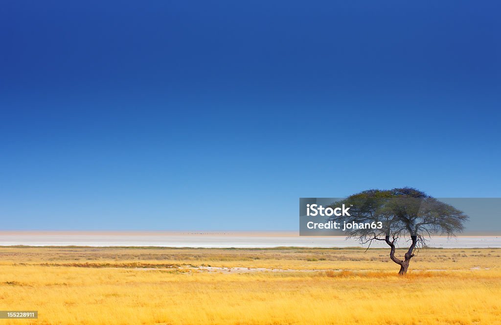 Paisagem - Foto de stock de Inverno royalty-free