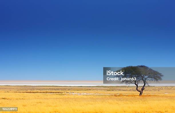 Foto de Paisagem e mais fotos de stock de Inverno - Inverno, Amarelo, Azul