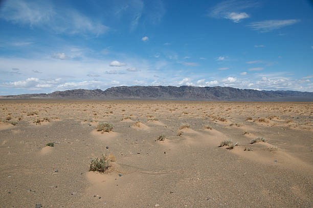 The Gobi landscape stock photo