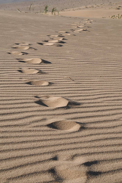 Foot prints on sand stock photo