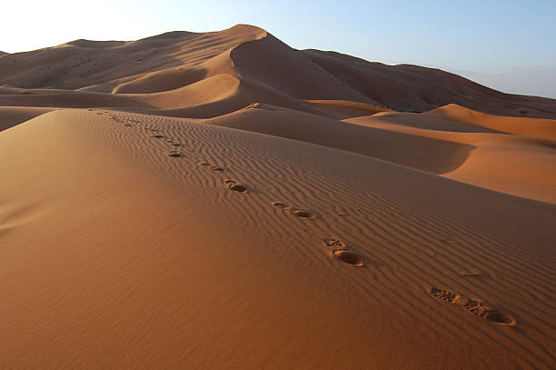 istock Footsteps in the Sahara Desert 155230117