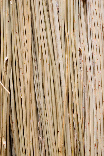 Straw texture stock photo
