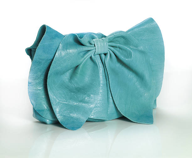 istock Fashionable Ladies Purse 155230609