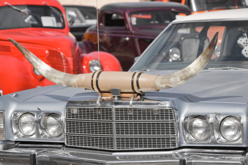 This unique vintage car is affixed with longhorn steers as a hood ornament.