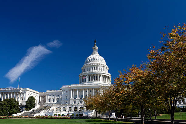 istock Capitol Building, Dome, Autumn Foliage Washington DC, Polarized Filter 155232278