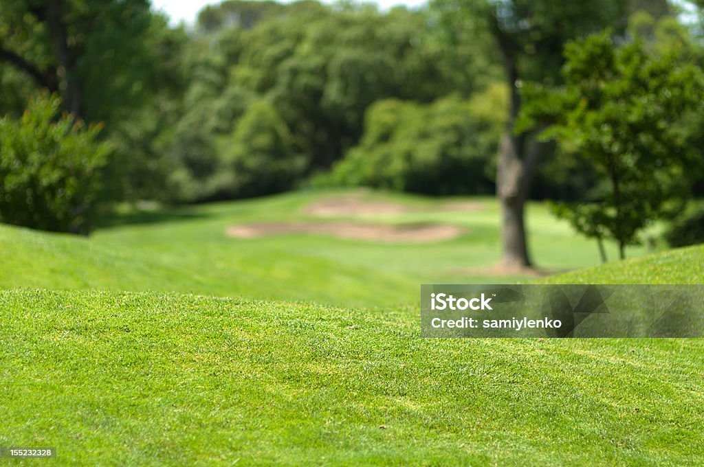 Paesaggio bellissimo Golf Park - Foto stock royalty-free di Albero