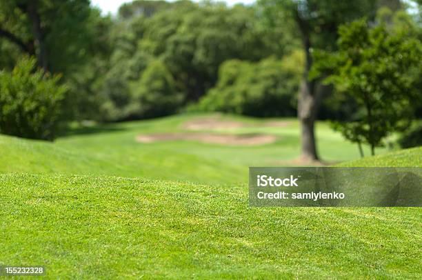 Paesaggio Bellissimo Golf Park - Fotografie stock e altre immagini di Albero - Albero, Ambientazione esterna, Attività ricreativa