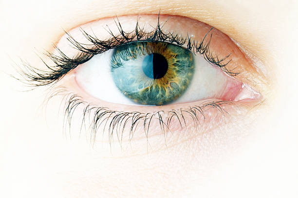 Human eye. macro shooting...  Human eye. macro shooting... cornea stock pictures, royalty-free photos & images