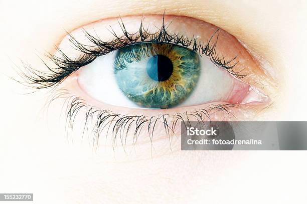 Human Eye Macro Shooting Stock Photo - Download Image Now - Close-up, Human Eye, The Way Forward