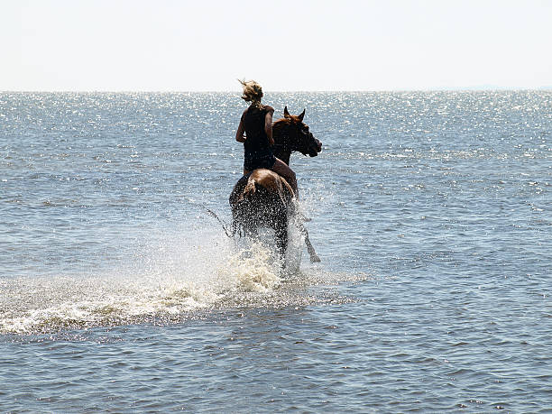 Riding girl in lagoon on sunny day stock photo