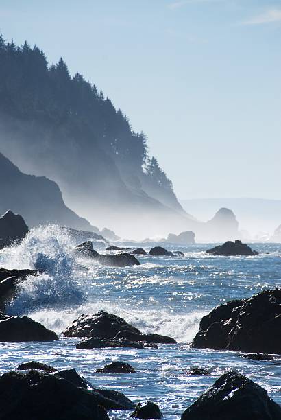 istock False Klamath Cove - Redwood National Forest 155233893