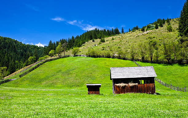 Rural scene stock photo