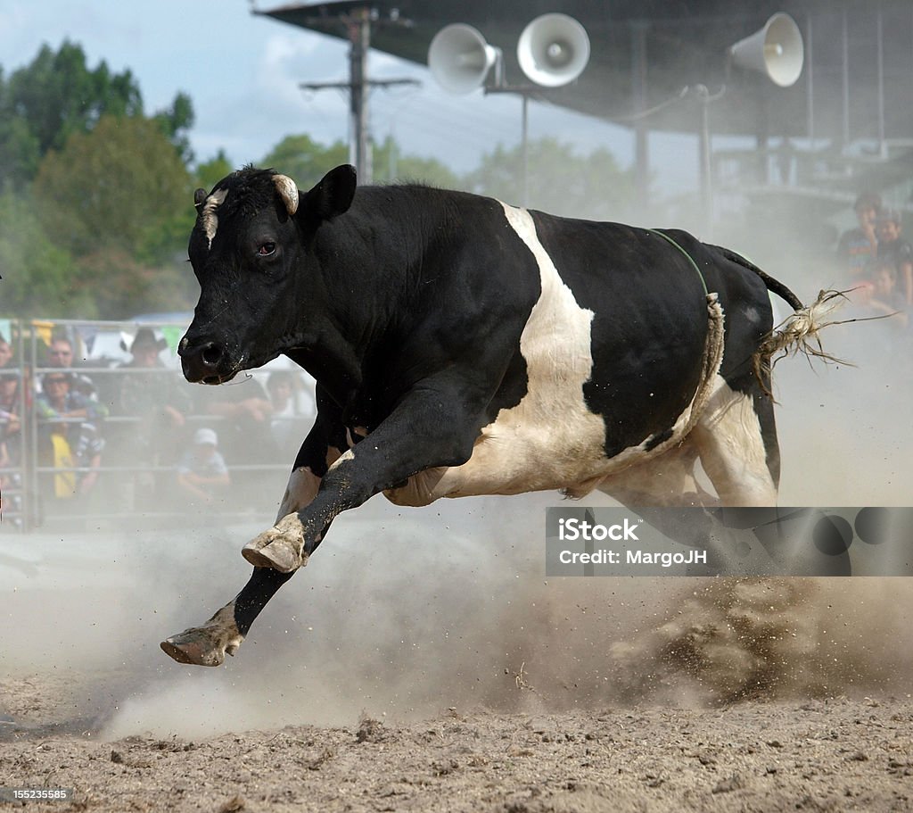 Arrabbiato Bull - Foto stock royalty-free di Rodeo