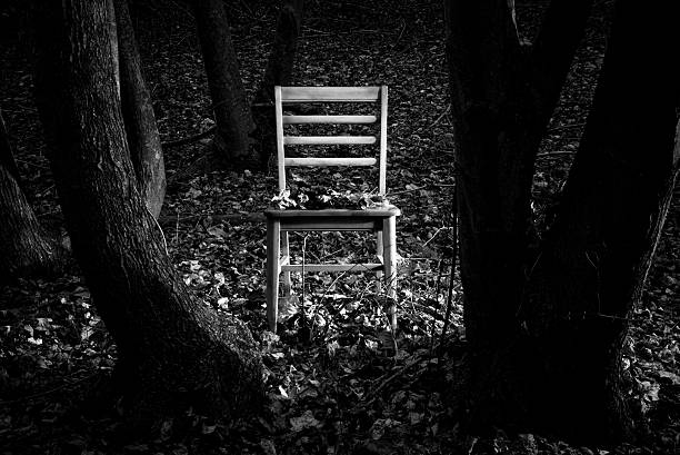 Empty Chair in Woodland
