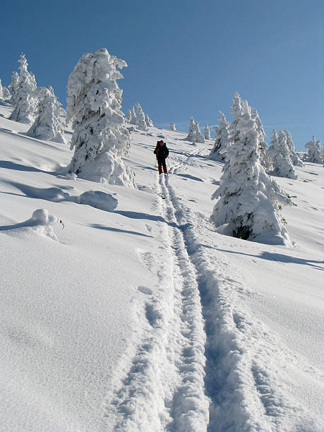 Single skier stock photo