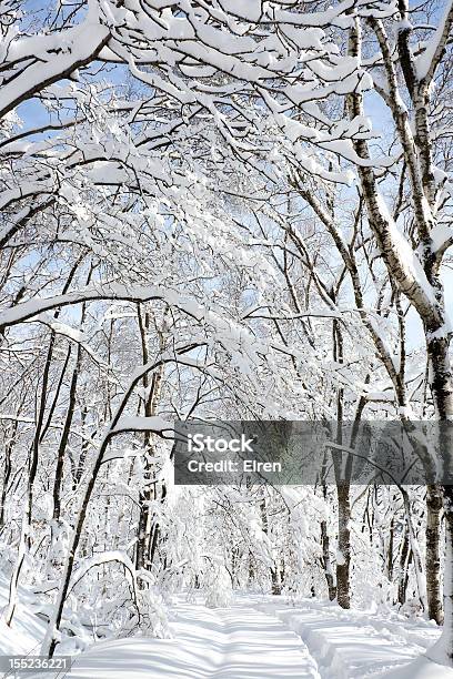Bianco Inverno Paesaggio - Fotografie stock e altre immagini di Albero - Albero, Ambientazione esterna, Ambientazione tranquilla